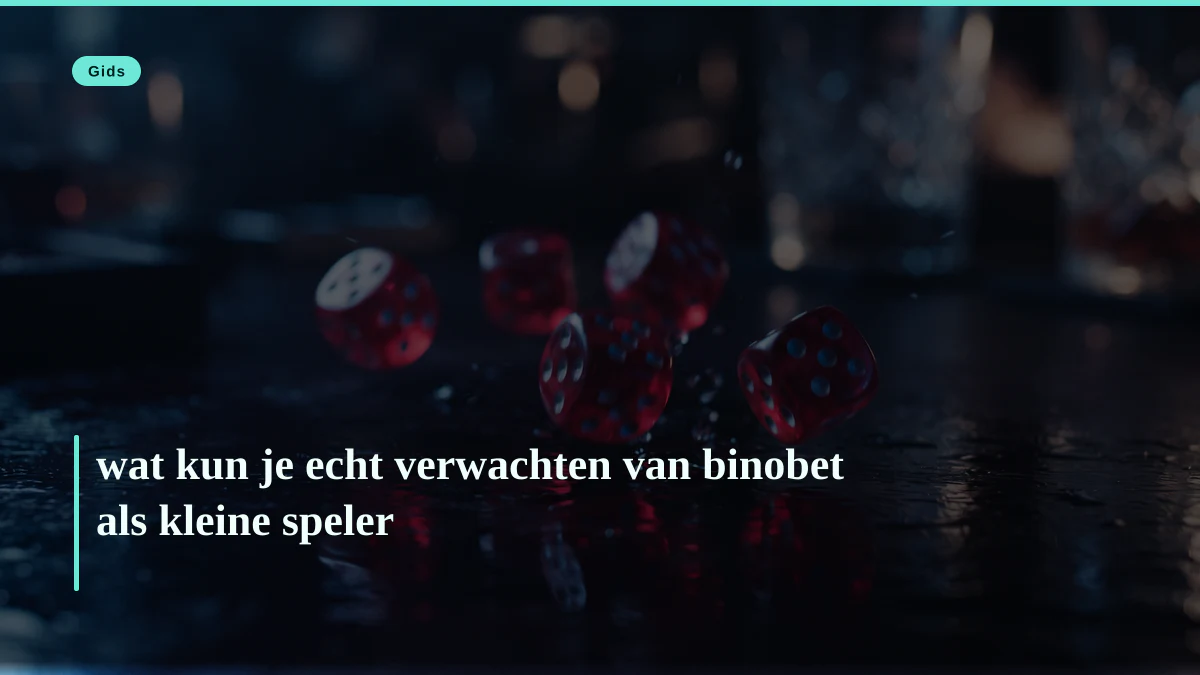 wat kun je echt verwachten van binobet als kleine speler