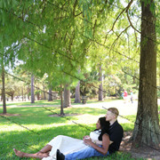 IMG-9456