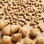 SOYA BADI