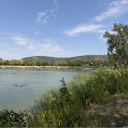 IMG 7867
