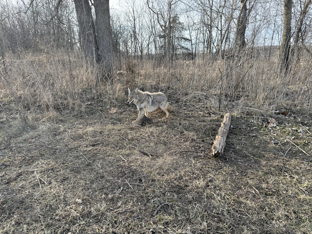 IMG 0421