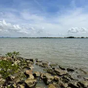 Tanjung Piai2
