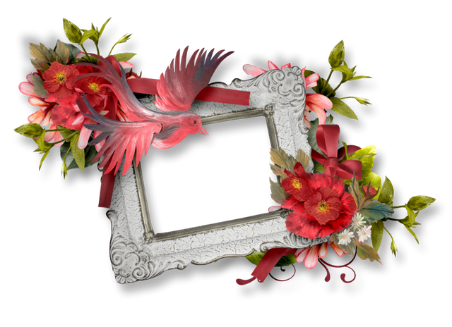 cluster-frame-279
