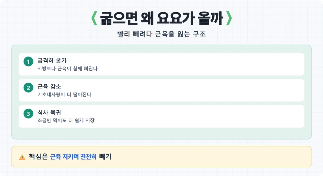 굶는 다이어트가 요요를 부르는 구조 카드