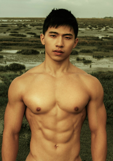 Troy-4