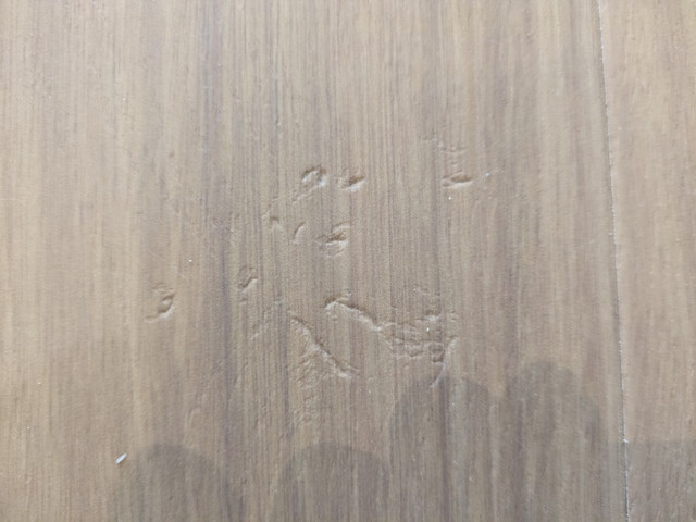 Floors-3.jpg