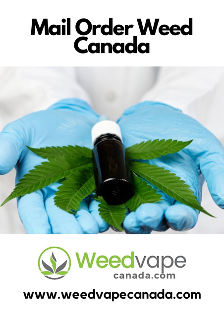 Main-Order-Weed-Canada-6