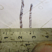 IMG-8297