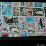 IMG-6797