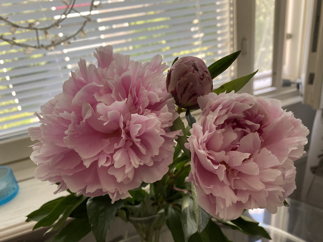 DF2-F02-A0-8-DBB-4628-AED0-60-BB316-B92-