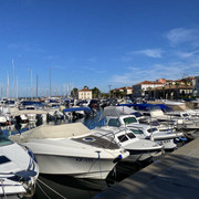 IMG-3931