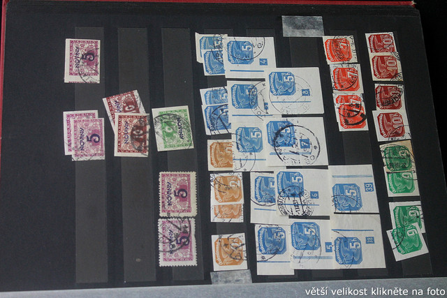 IMG-3566.jpg