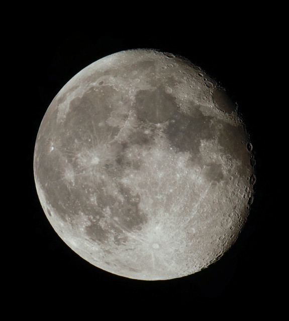 100f0076m.jpg