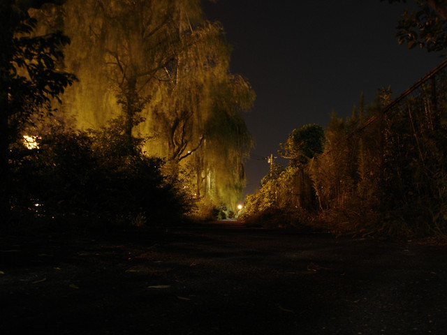 2012-09-26-069