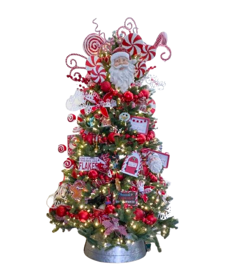 image-1-removebg-preview.png