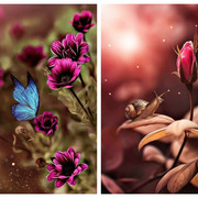 Be-Funky-collage-1