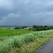 2021-07-16-076