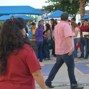 DSC-0495