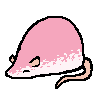 rat1161.png