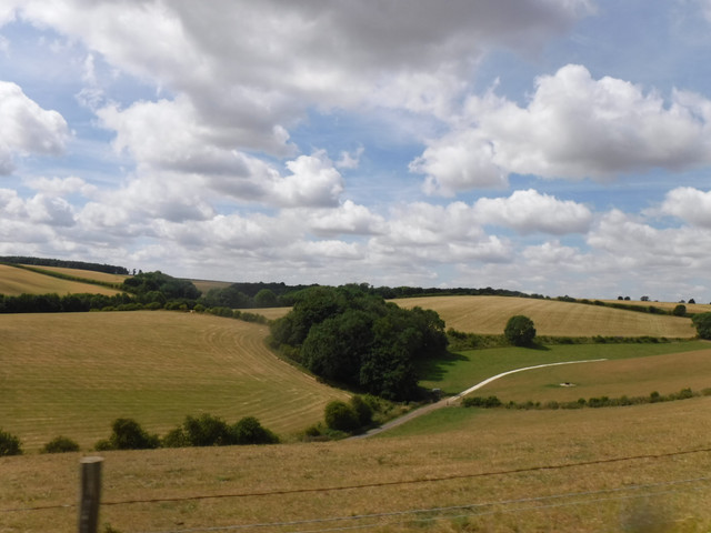 DSCF6168.jpg