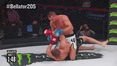[IMAGE:https://i.ibb.co/9qMwQ9x/grappling-punching2.gif]
