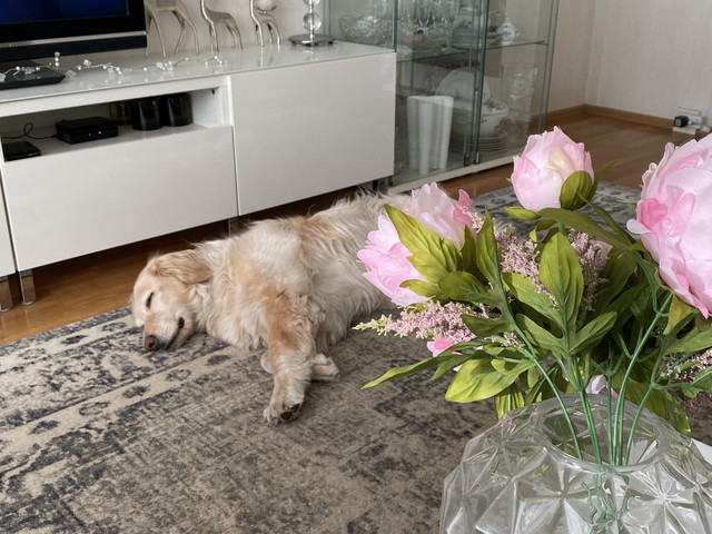 87-FBC731-CD74-4490-BE56-0536-D179-AA16.