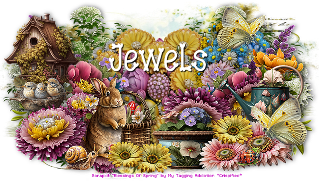 Jewels-4371-B