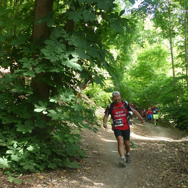 P1020533-2.jpg