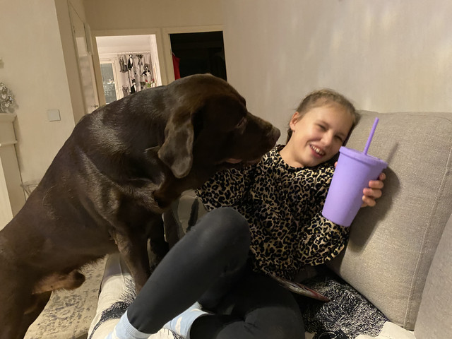 50-DAC6-A2-53-C2-4487-BAE6-BC47-CCB79-D3