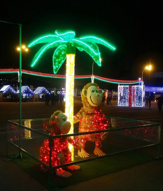 DSC04080-5