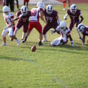 IMG-2036