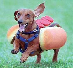 Hotdog.jpg