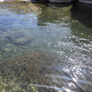 IMG-6152