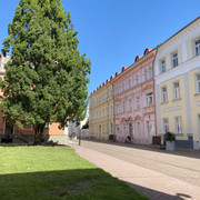 IMG-0896