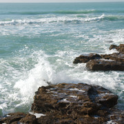 DSC-6855