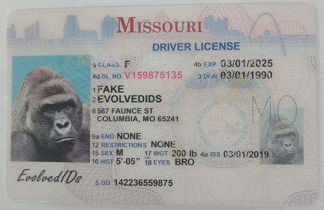MO-Front