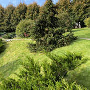 IMG-0745