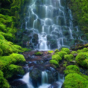 wp4571914-amazon-forest-wallpapers