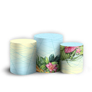 900897-Tropical