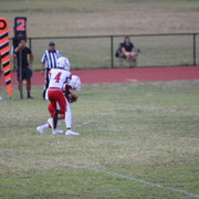 IMG-2274