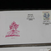 IMG-2685