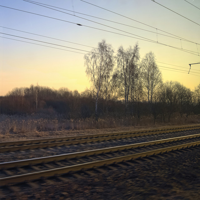 DSCF6238.jpg