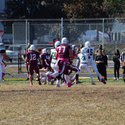 IMG-3555