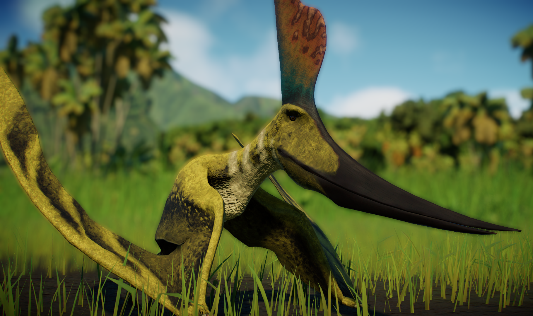 Pteranodon sternbergi 缩略图