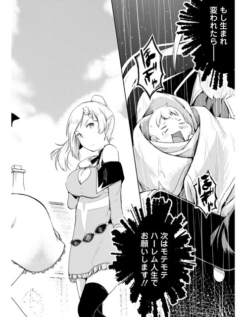 DLRAW-net-06