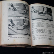 IMG-2137