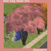 Rose-Easy-Shade-Tree