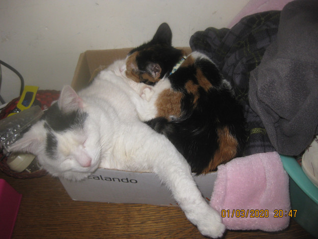 IMG-4564