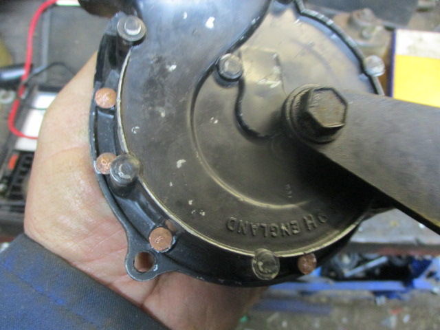 IMG-9095.jpg