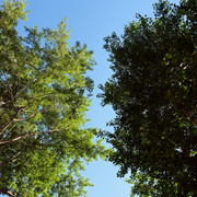 DSCF6076